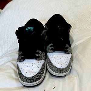 Nike dunk sb elephant